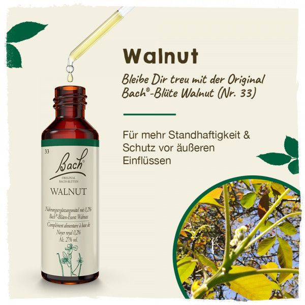 Bodyguardapotheke Original Bachblüten Walnut 20ml