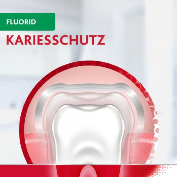 Bodyguardapotheke PARODONTAX Mit Fluorid Zahnpasta