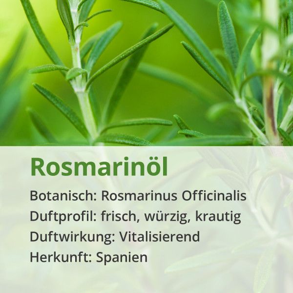 Bodyguardapotheke ROSMARIN ÖL Naturrein ätherisch