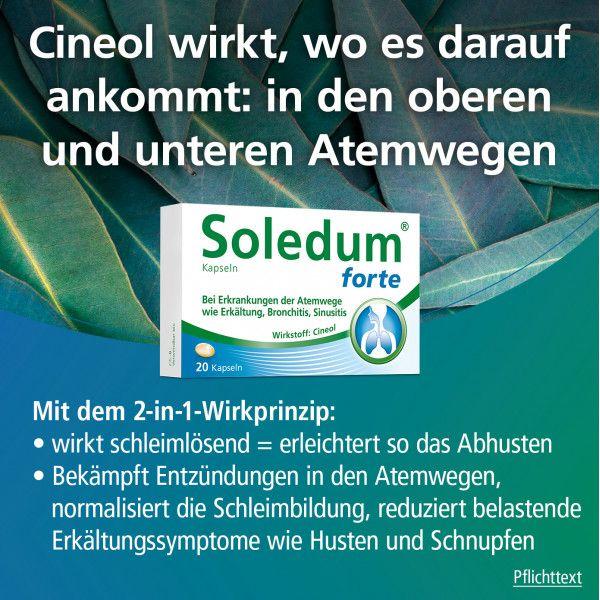 Bodyguardapotheke SOLEDUM Kapseln Forte 200 Mg