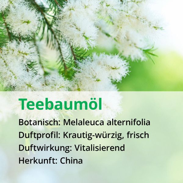 Bodyguardapotheke TEEBAUM ÖL NATURREIN ätherisch