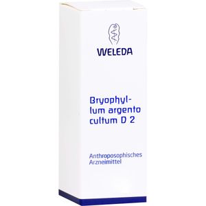 Bodyguardapotheke BRYOPHYLLUM ARGENTO Cultum D 2 Dilution