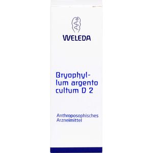 bodyguardapotheke BRYOPHYLLUM ARGENTO cultum D 2 Dilution