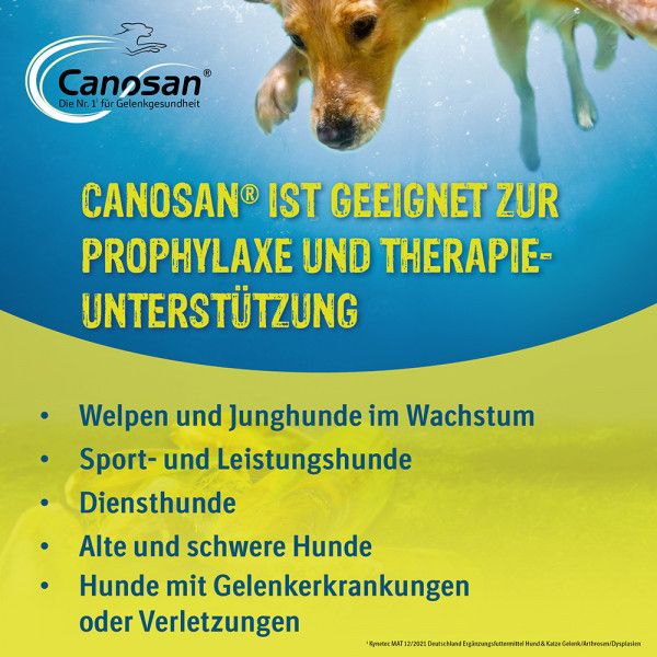 Bodyguardapotheke CANOSAN Pellets Bei Gelenkproblemen Hund Mit Grünlippmuschel Extrakt Gonex