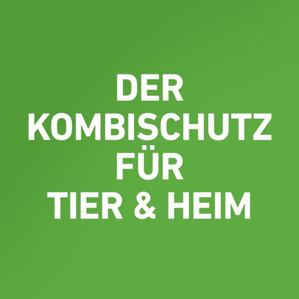 Bodyguardapotheke FRONTLINE COMBO Gegen Zecken Flöhe (Flöhe Eier Larven Puppen) Für Katzen