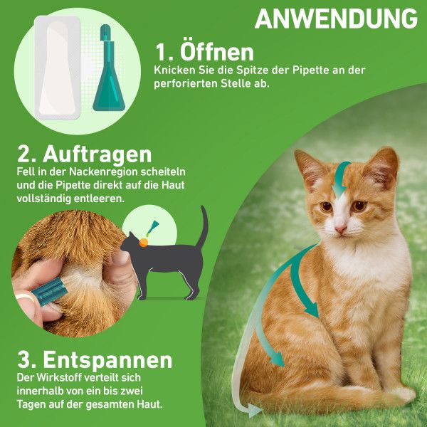 Bodyguardapotheke FRONTLINE COMBO Gegen Zecken Flöhe (Flöhe Eier Larven Puppen) Für Katzen