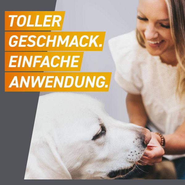 Bodyguardapotheke FRONTPRO 136 Mg Kautabletten F.Hunde >25-50 Kg