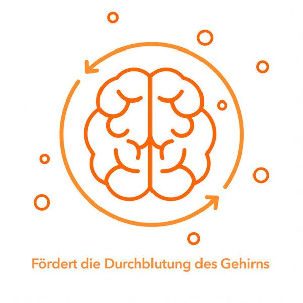 Bodyguardapotheke GINKOBIL-ratiopharm 240 Mg Filmtabletten