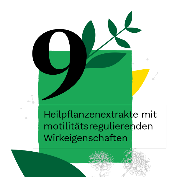 Bodyguardapotheke IBEROGAST Classic Flüssigkeit Zum Einnehmen Bei Funktionellen Und Motilitätsbedingten Magen-Darm-Beschwerden