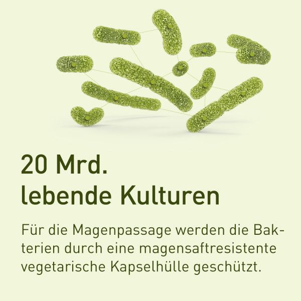 Bodyguardapotheke NUPURE Probaflor - 2-1 Rezeptur Mit 11 Bakterienkulturen + Inulin