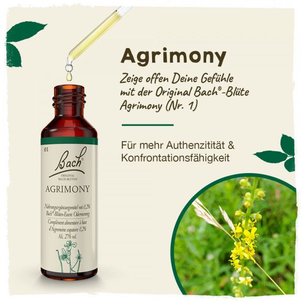 Bodyguardapotheke Original Bachblüten Agrimony 20ml