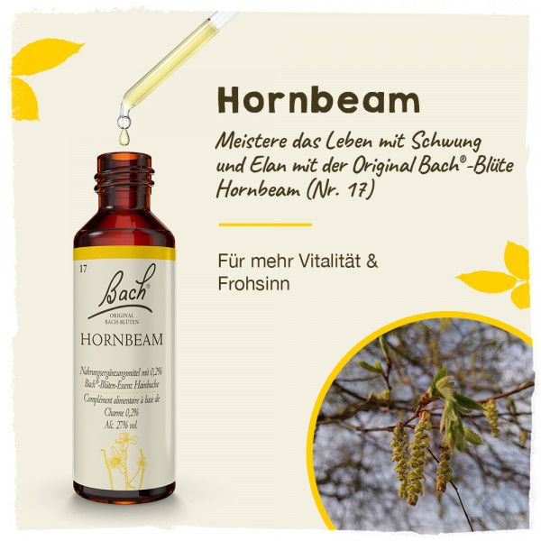 Bodyguardapotheke Original Bachblüten Hornbeam 20ml
