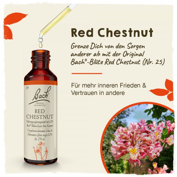 Bodyguardapotheke Original Bachblüten Red Chestnut 20ml