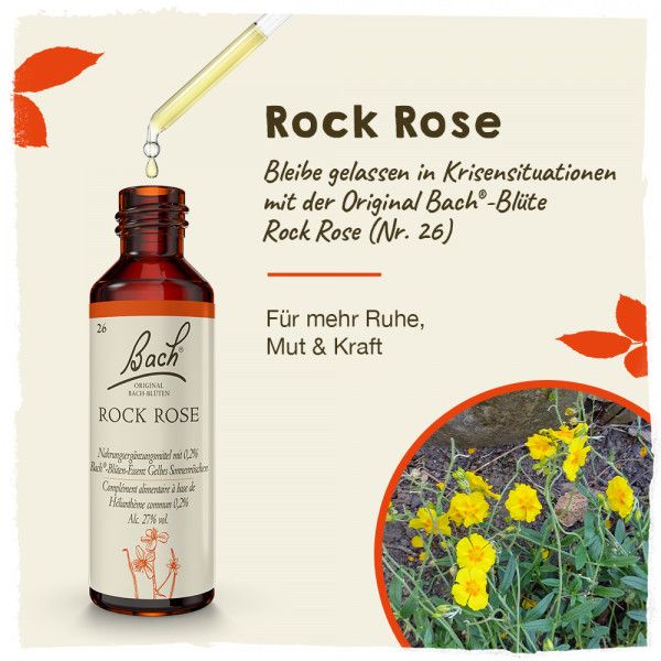 Bodyguardapotheke Original Bachblüten Rock Rose 20ml