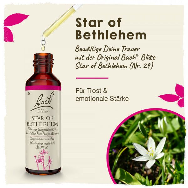 Bodyguardapotheke Original Bachblüten Star Of Bethlehem 20ml