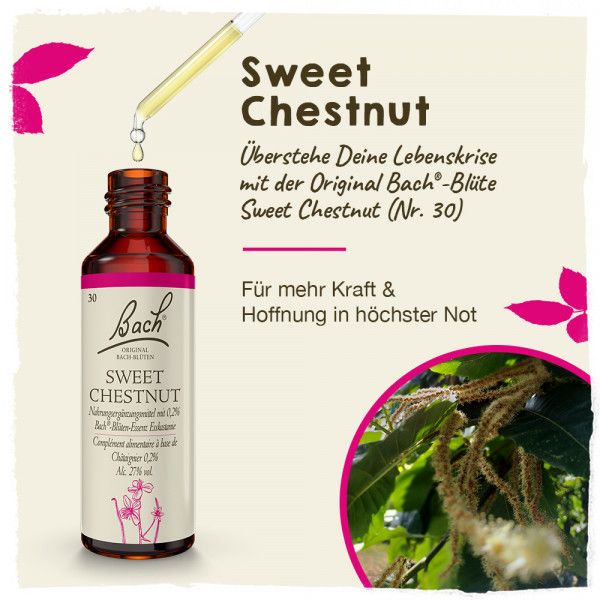 Bodyguardapotheke Original Bachblüten Sweet Chestnut 20ml