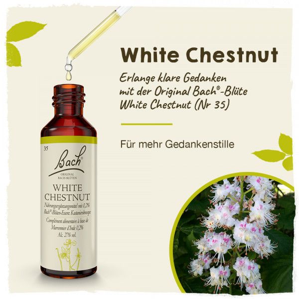 Bodyguardapotheke Original Bachblüten White Chestnut 20ml