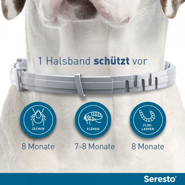 Bodyguardapotheke SERESTO Halsband Für Kleine Hunde