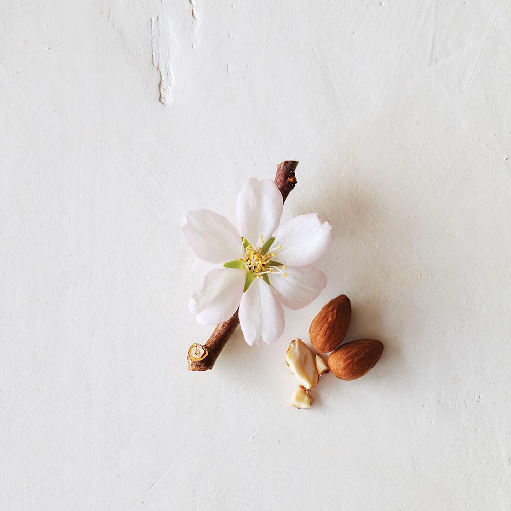 Lookfantastic Aveda Cherry Almond Conditioner 200 ml