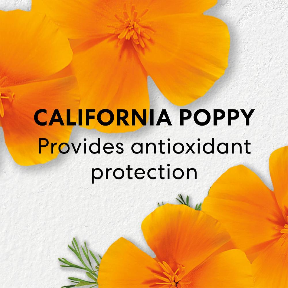 Lookfantastic BareMinerals Skinlongevity Long Life Herb Serum 30ml