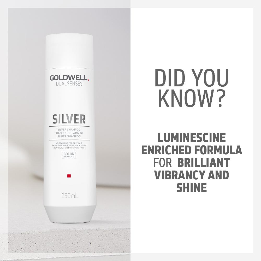 Lookfantastic Goldwell Dualsenses Silver Shampoo 250ml