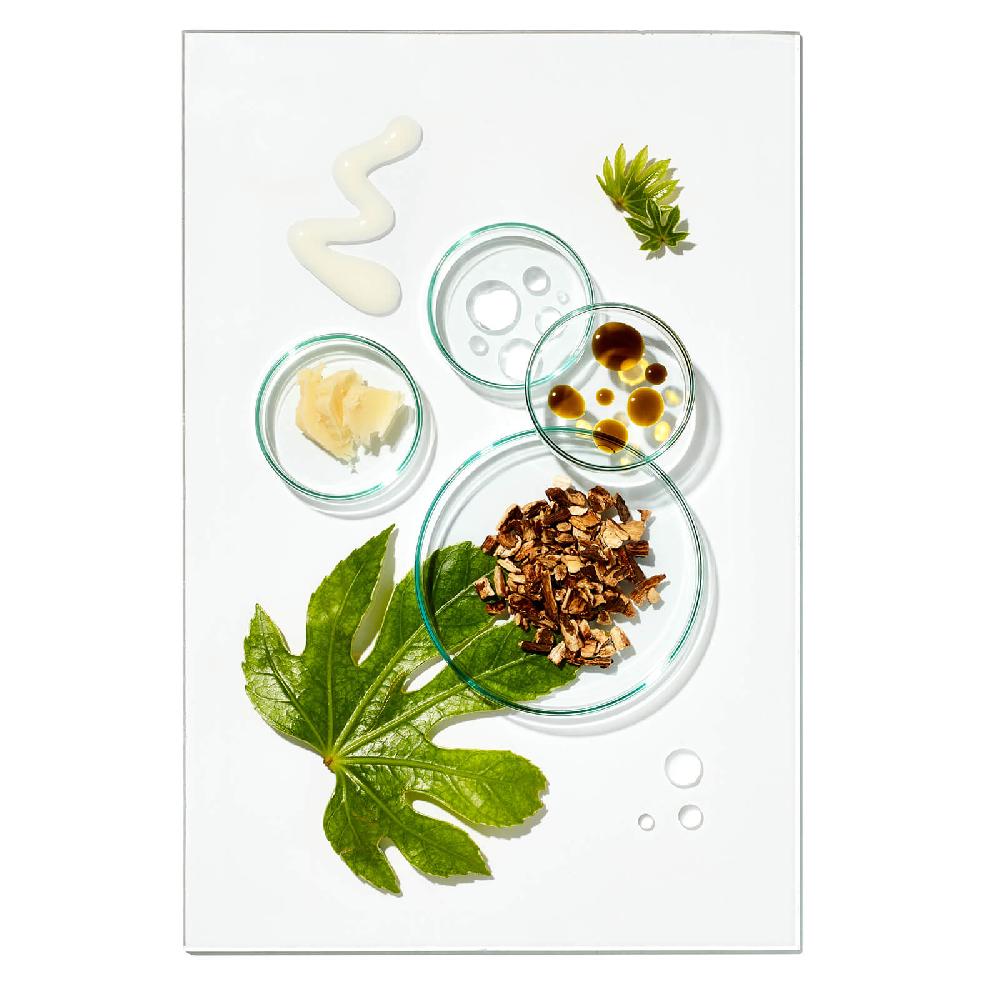 Lookfantastic Grow Gorgeous Balance-Kollektion (Im Wert Von €89.00)