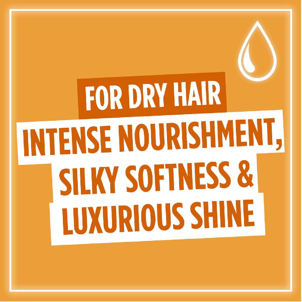 Lookfantastic L'Oréal Paris Elvive Extraordinary Oil Shampoo Für Trockenes Haar 500 ml