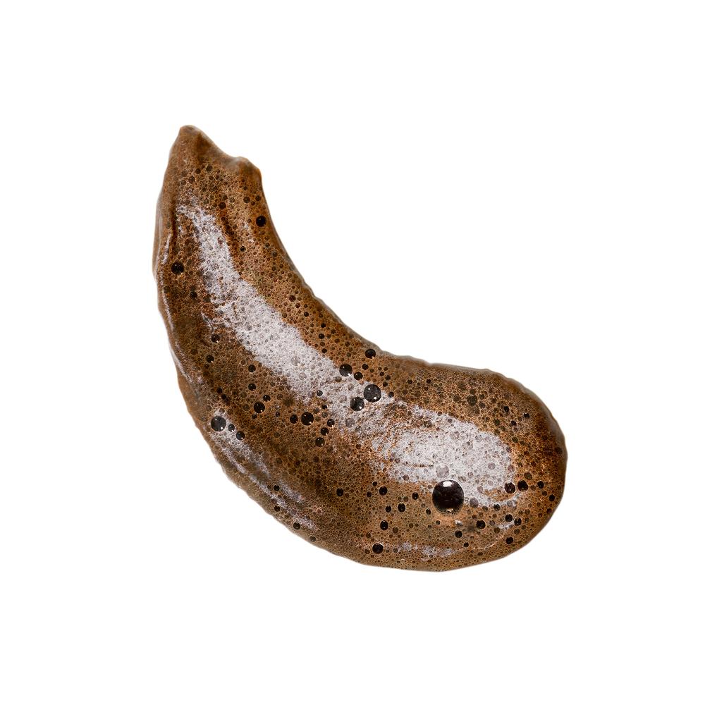 Lookfantastic Coco & Eve Ultimate Glow Kit – Dunkel