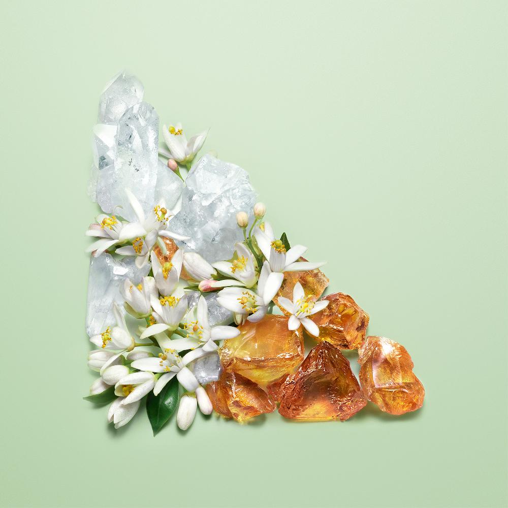 Lookfantastic Prada Paradoxe Eau De Parfum Refill 100ml