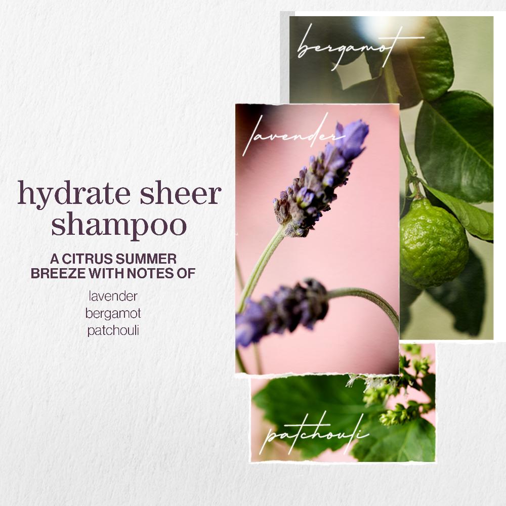 Lookfantastic Pureology Hydrate Sheer Shampoo 266ml