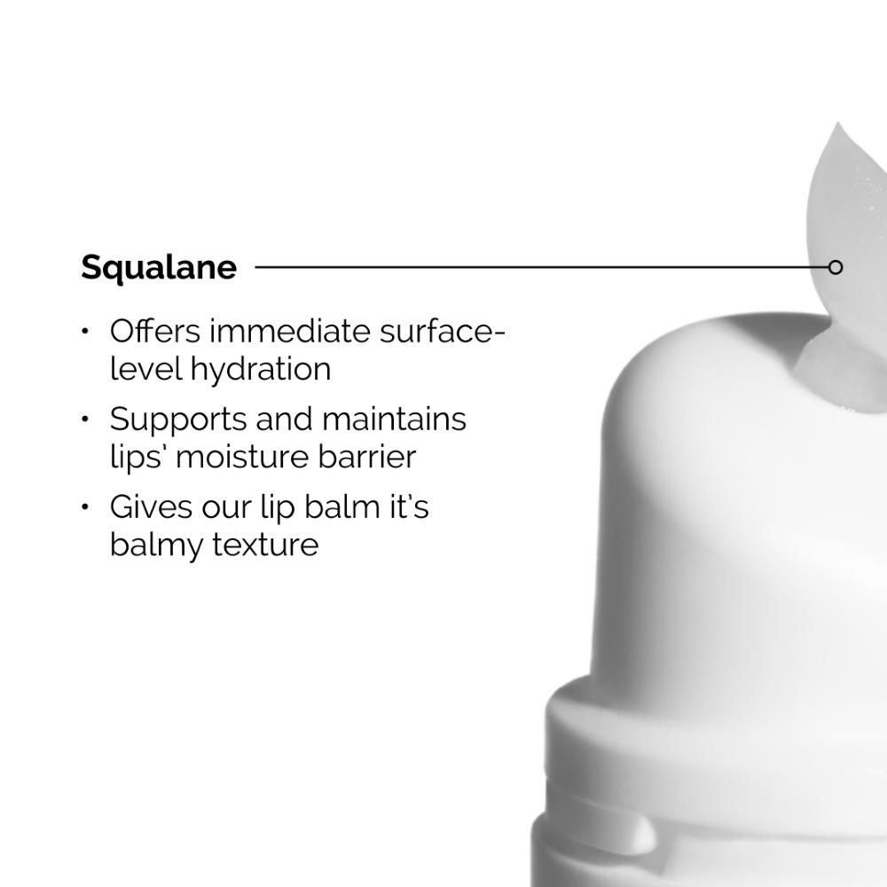 Lookfantastic The Ordinary Squalane And Amino Acids Lip Balm 15ml