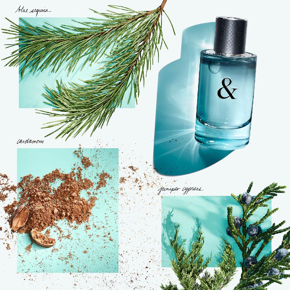 Lookfantastic Tiffany & Co. & Love For Him Eau De Toilette 50ml