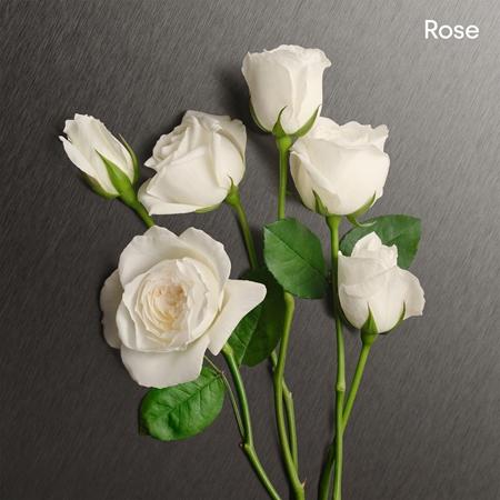 Calvin Klein Calvin Klein Eternity 100 Ml EdP Für Damen