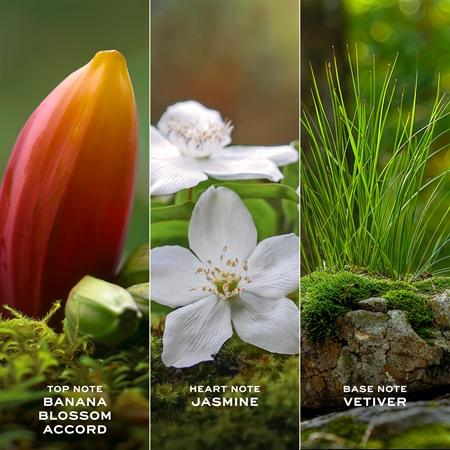 Marc Jacobs Marc Jacobs Daisy Wild Eau De Parfum Für Damen