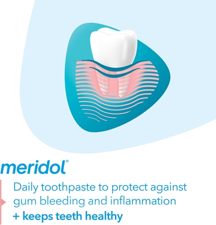 Meridol Meridol Gum Protection Zahnpasta Unterstützt Die Regeneration Von Gereiztem Zahnfleisch