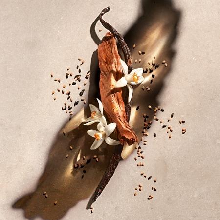 Zadig & Voltaire Zadig & Voltaire ZADIG Eau De Parfum Für Damen