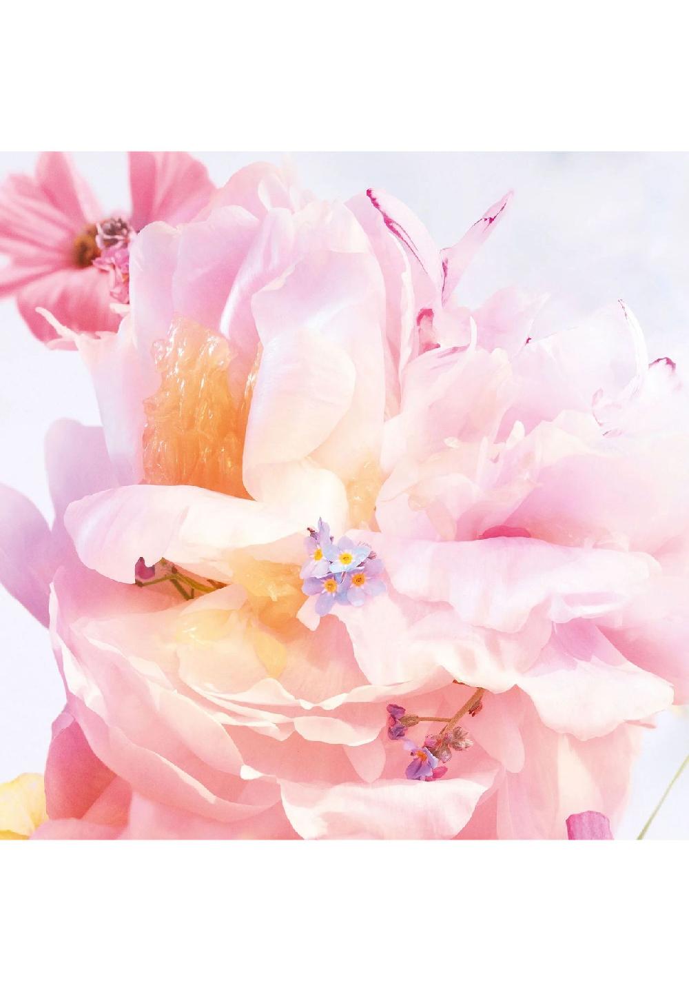 DIOR MISS DIOR BLOOMING BOUQUET EAU DE TOILETTE