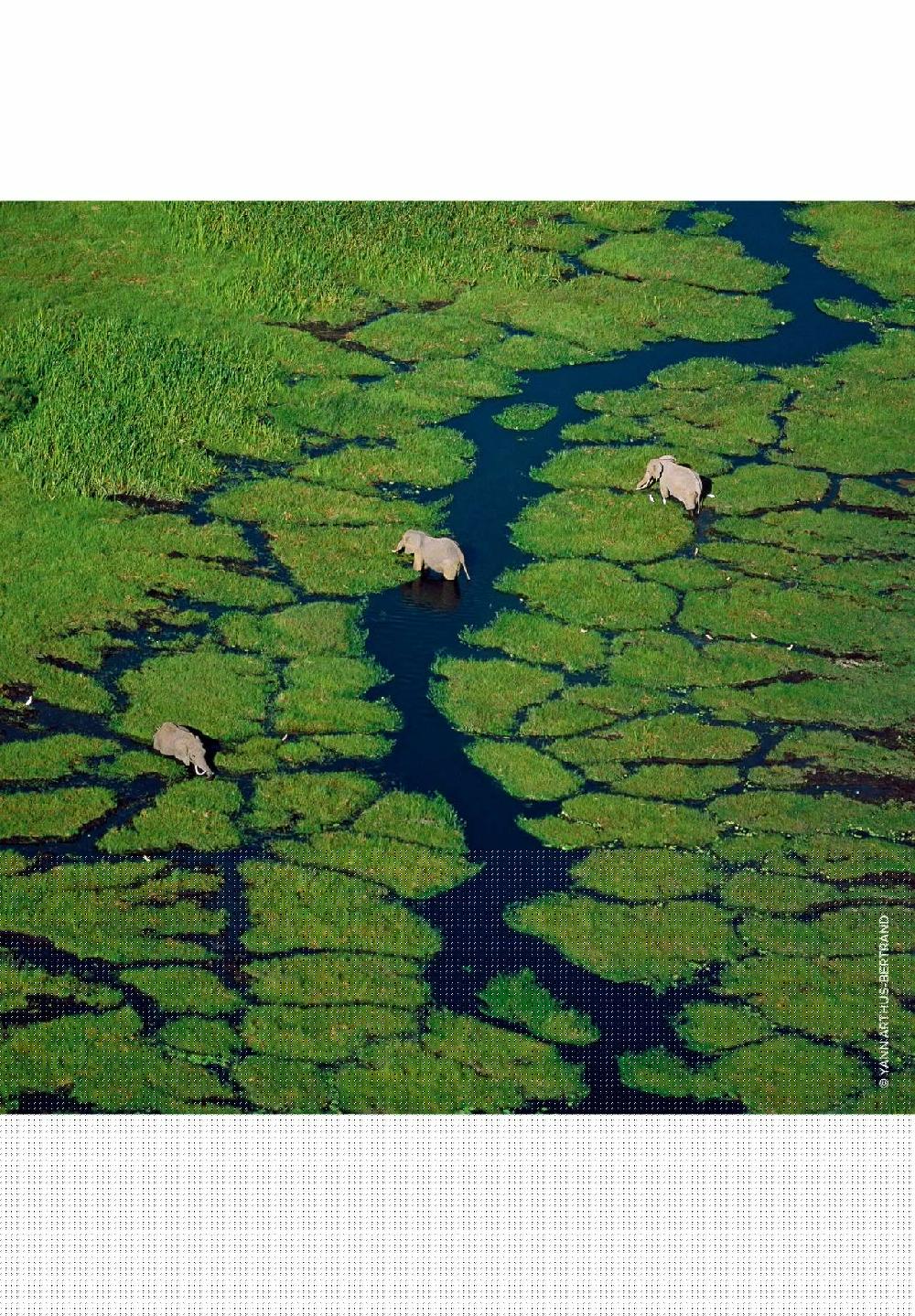 GUERLAIN AQUA ALLEGORIA Pamplelune Eau De Toilette Refillable