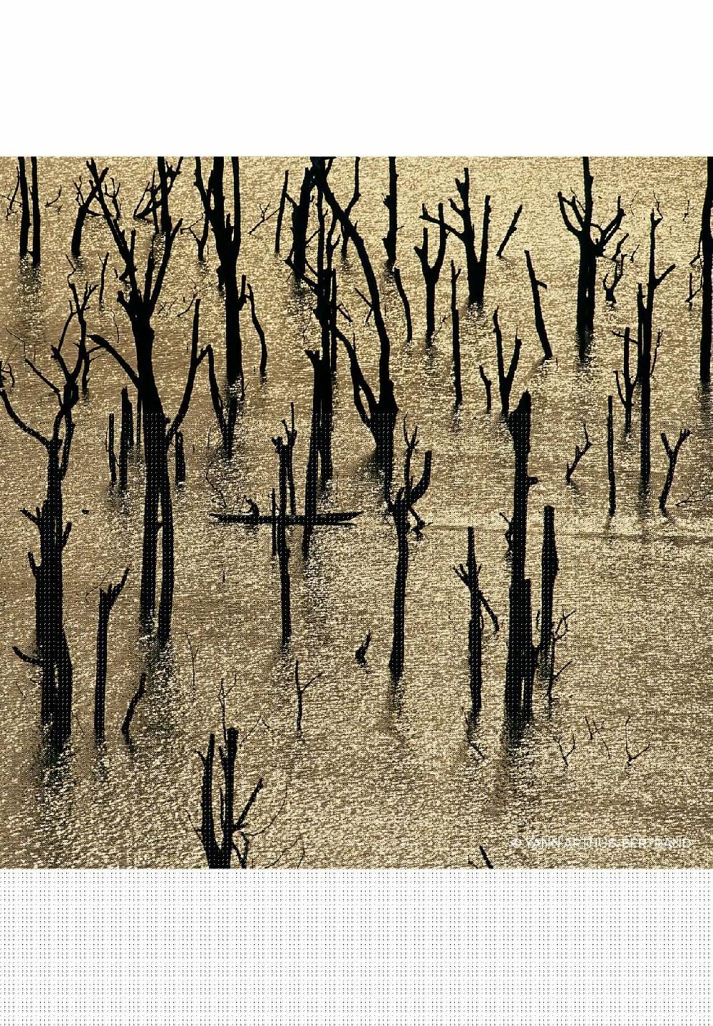 GUERLAIN AQUA ALLEGORIA Rosa Rossa Forte Eau De Parfum