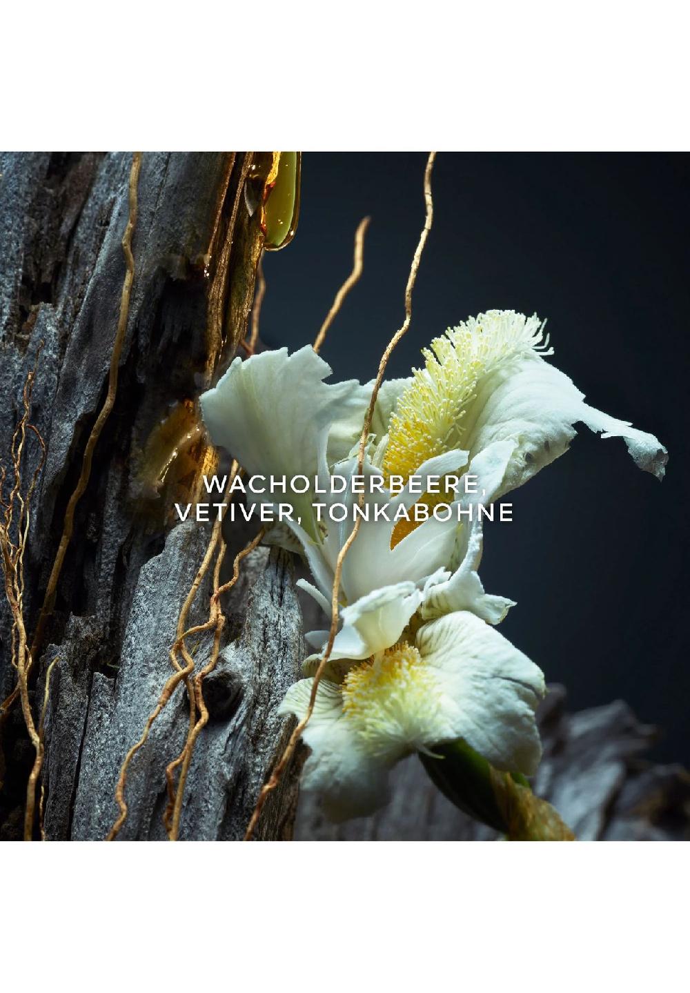 GUERLAIN VETIVER Le Parfum