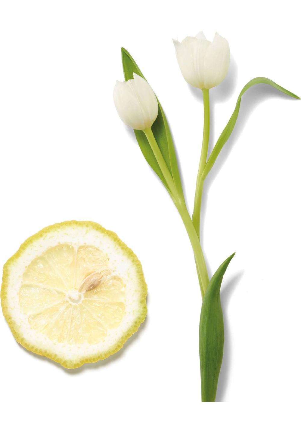 RITUALS® AMSTERDAM COLLECTION Pflegeset