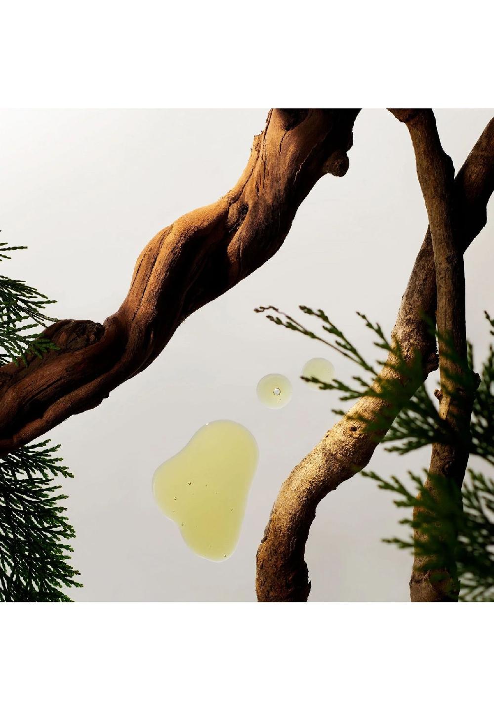 RITUALS® HOMME Pflege-Set Medium