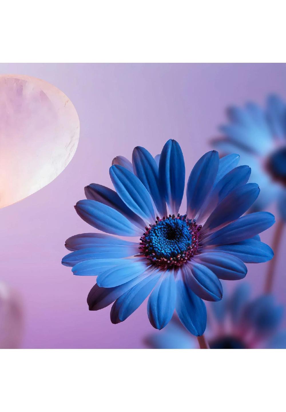 RITUALS® THE DREAM COLLECTION Hair & Body Mist