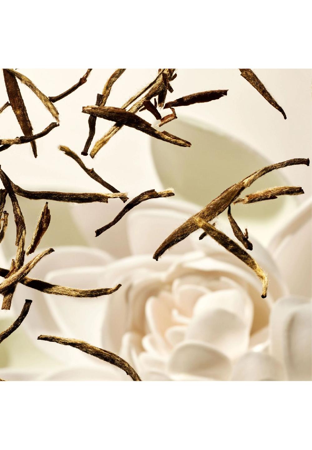 RITUALS® THE RITUAL OF KARMA Sun Trial Set LSF 30