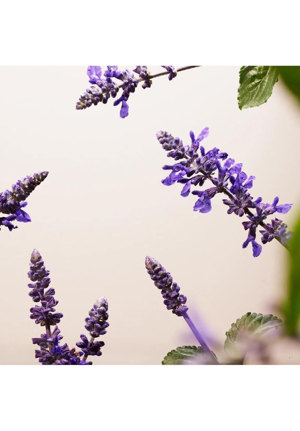 RITUALS® THE RITUAL OF NAMASTE Bakuchiol Natural Booster