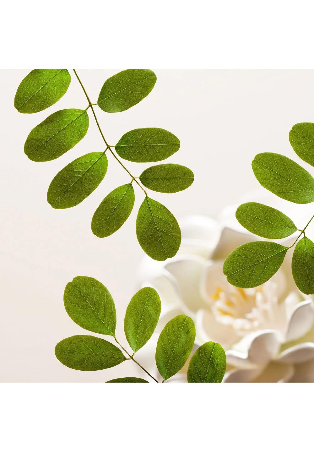 RITUALS® THE RITUAL OF NAMASTE Purify Velvety Smooth Cleansing Foam