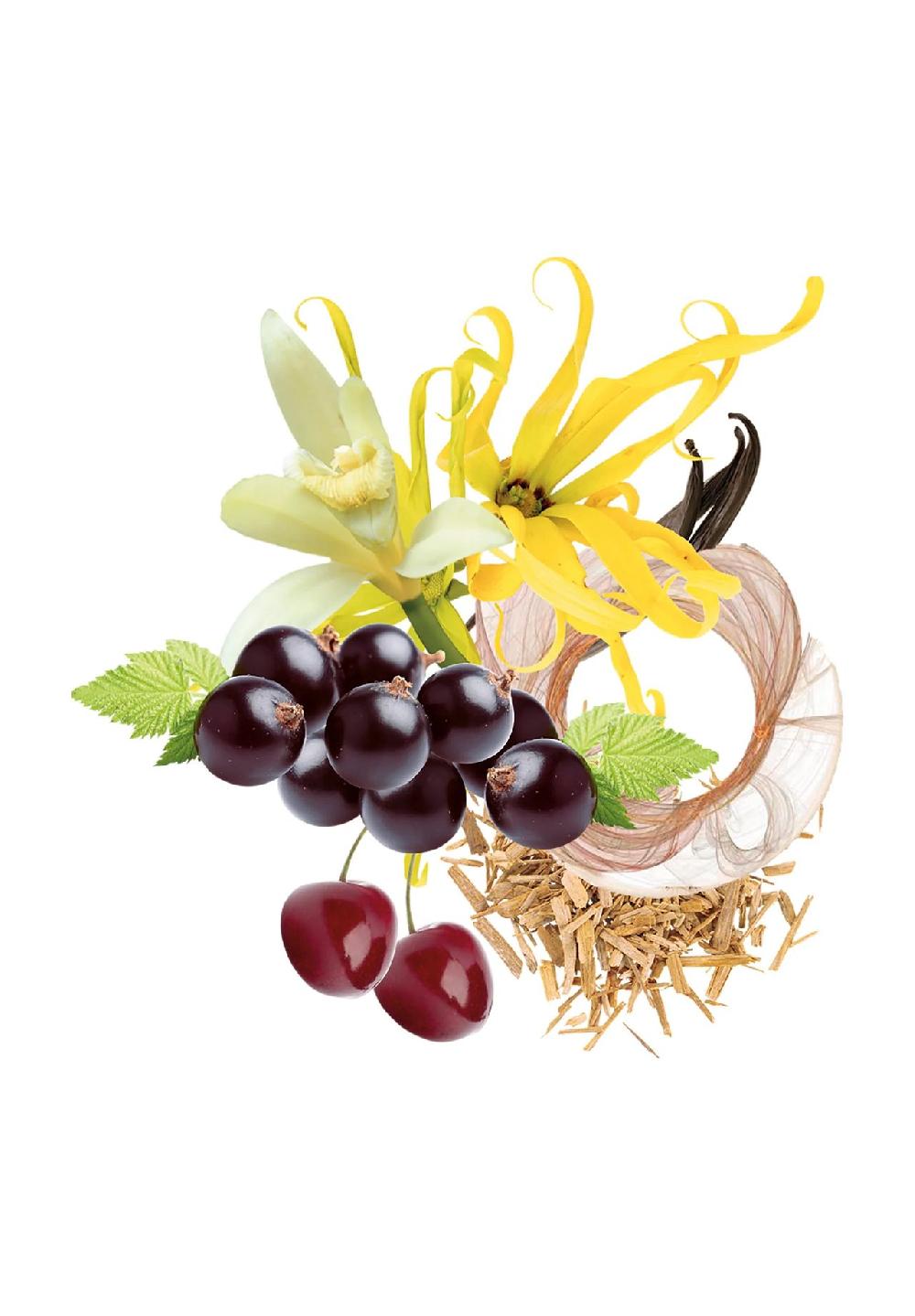 TRUSSARDI Duft-Set "Ruby Red"