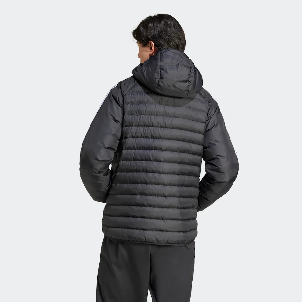 Adidas Originals Steppjacke »PAD HOODED JKT« ▷ Bestellen