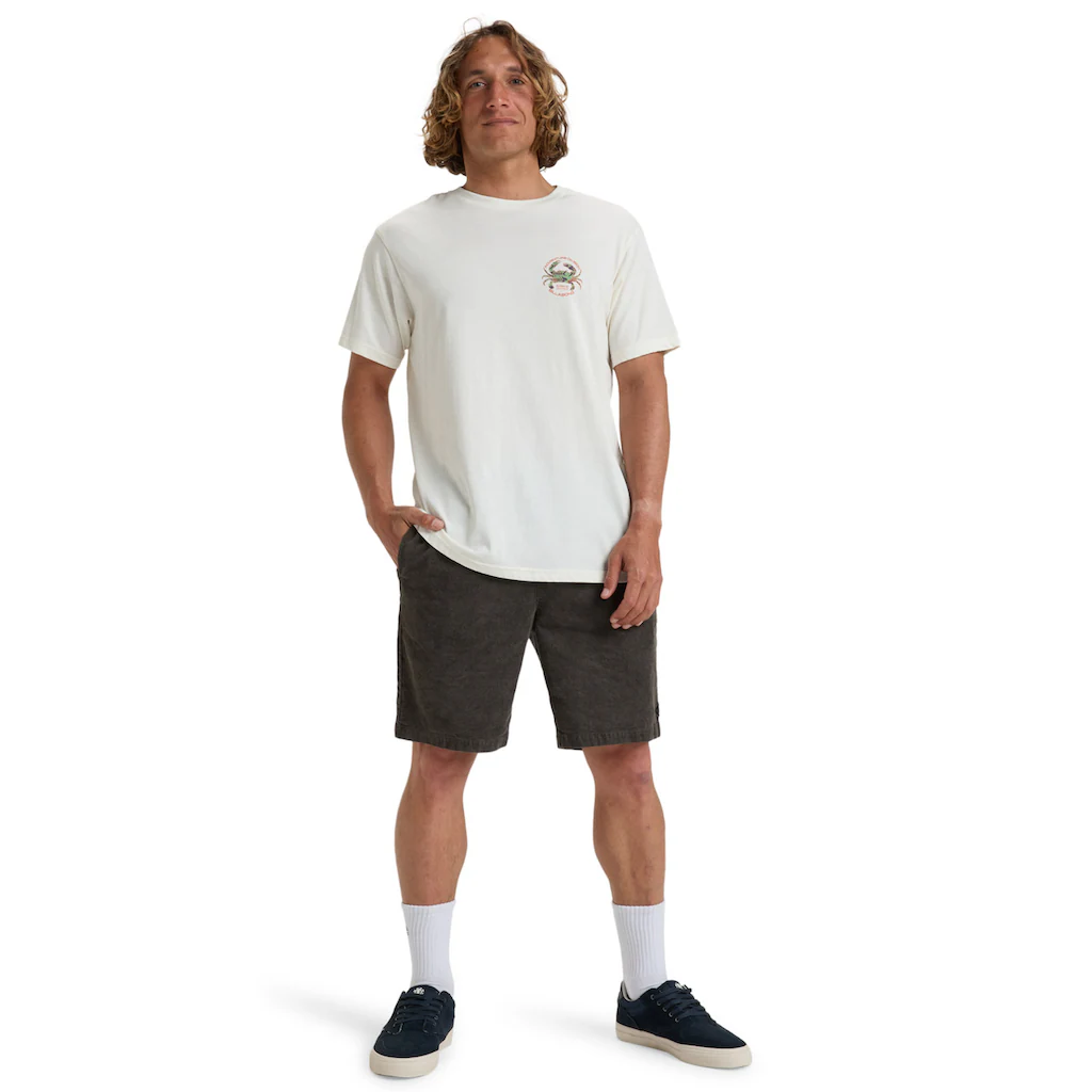 Billabong T-Shirt »Fauna« ▷ Für