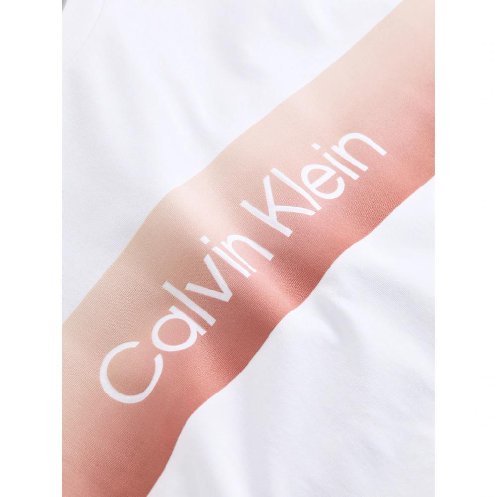 Calvin Klein T-Shirt »LINEAR OMBRE CHEST LOGO T-SHIRT« Mit Ombré-Logo-Druck ▷ Kaufen
